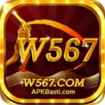 W567 Game Download